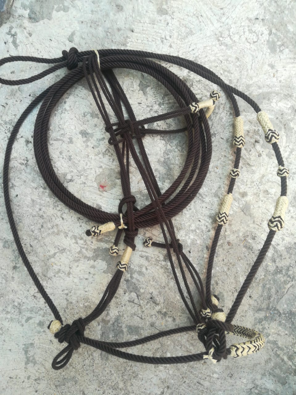 RONDERILLOS CHARROS