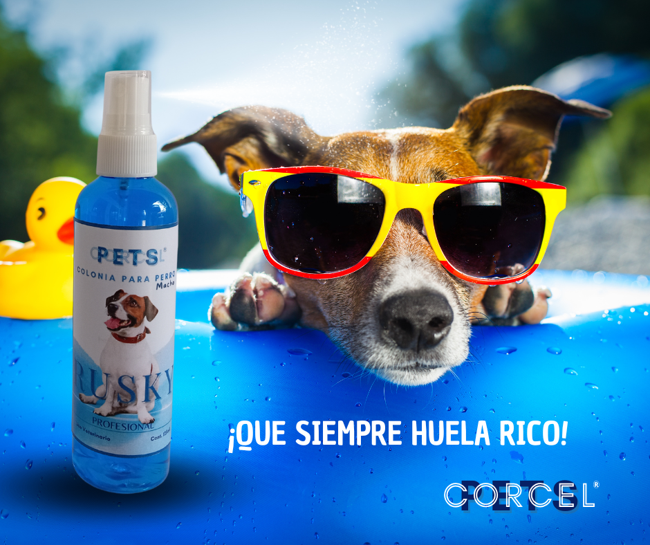 COLONIA PARA PERRO MACHO RUSKY 2X1