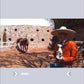 REPELENTE DE INSECTOS PARA CABALLO  3 X 2