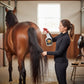 SHINY HORSE