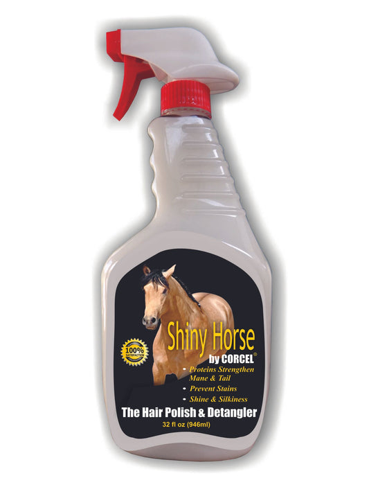 SHINY HORSE