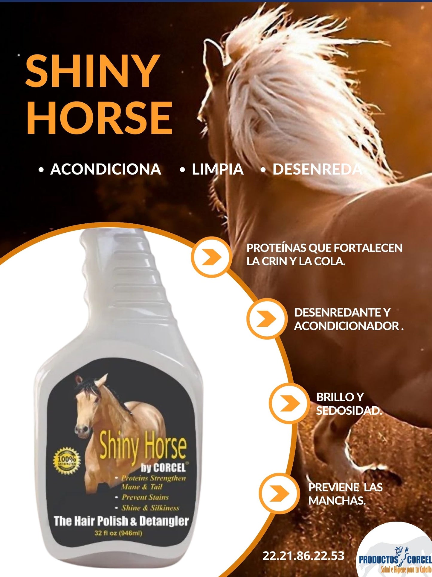 SHINY HORSE